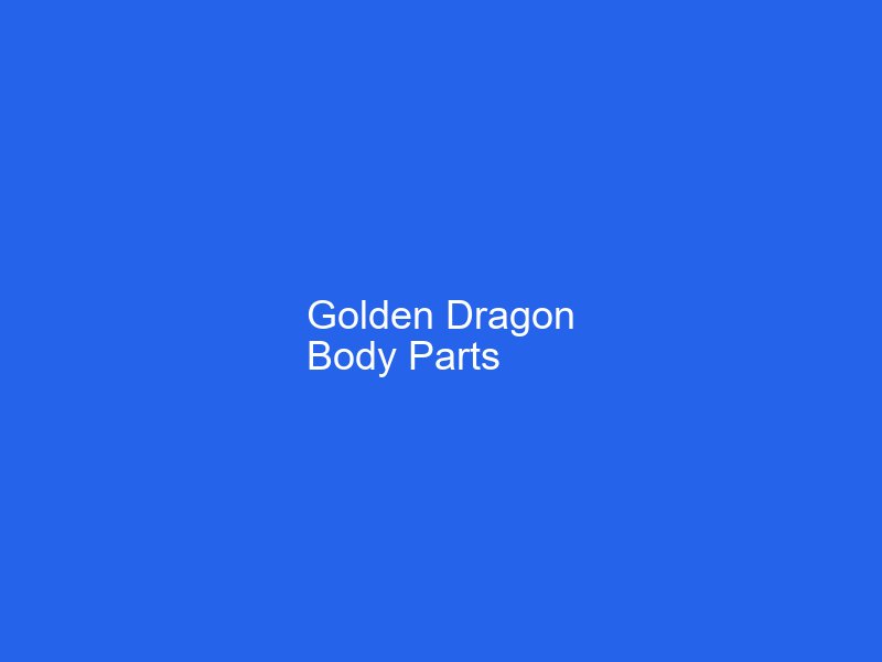 Golden Dragon Bus Body Accessories